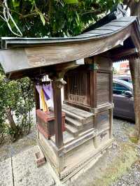 【東京都】柑橘の木が聳える神社