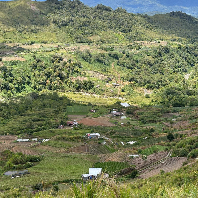 Chasing Kinabalu: My Adventure-Filled Road Trip to Kundasang!