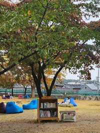 가을의 정취를 만끽할 수 있는 정독도서관📚🧡
