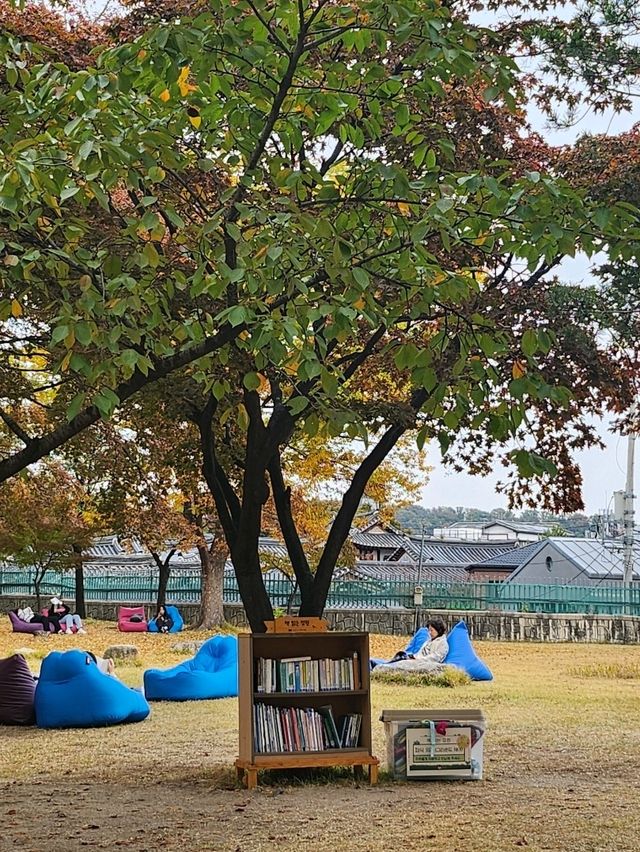 가을의 정취를 만끽할 수 있는 정독도서관📚🧡