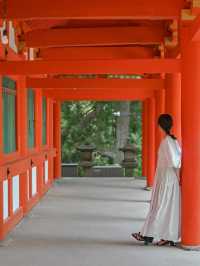 【奈良の世界遺産】春日大社⛩️