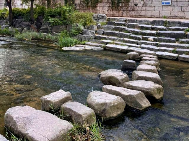 지금 가야할 걷기 좋은 청계천&흥인지문공원🏞