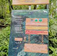 Mount Gede Pangrango National Park