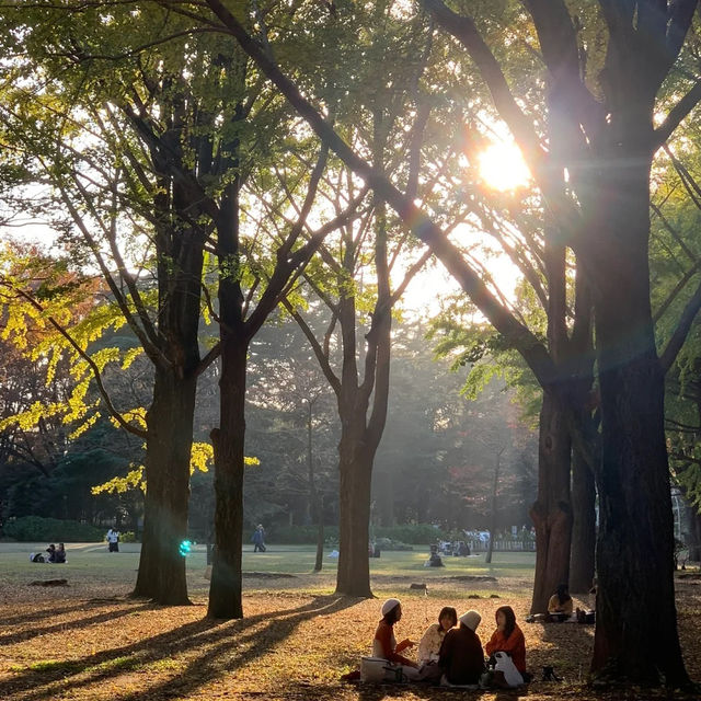 東京景點：東京代代木公園，鬧中取靜的綠色天地