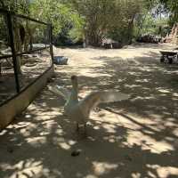 คาเฟ่ ที่เป็นมากกว่าคาเฟ่ เป็นที่ 1 ในใจ