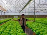 เที่ยวลาวใต้ ไป ARGO VAGE FARM