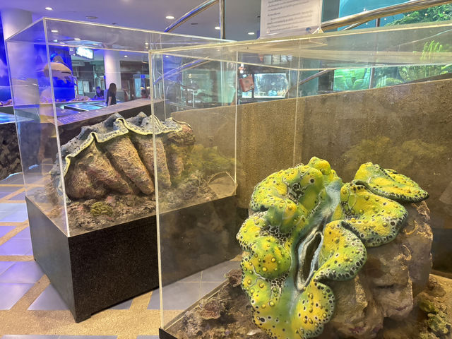 Rayong Aquarium 🐡🐠🪼