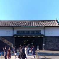 東京景點｜暢遊東京都心的綠洲—皇居外苑．千鳥之淵