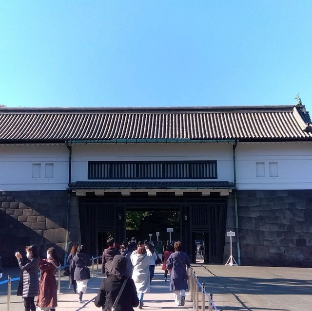 東京景點｜暢遊東京都心的綠洲—皇居外苑．千鳥之淵