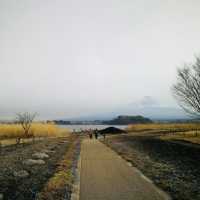 Facing Majesty: A Moment with Mount Fuji at Kawaguchiko