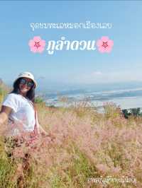ชมทะเลหมอกภูลำดวน