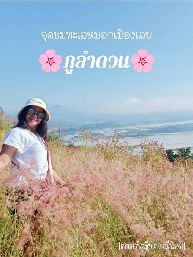 ชมทะเลหมอกภูลำดวน