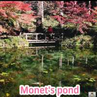  Monet's pond