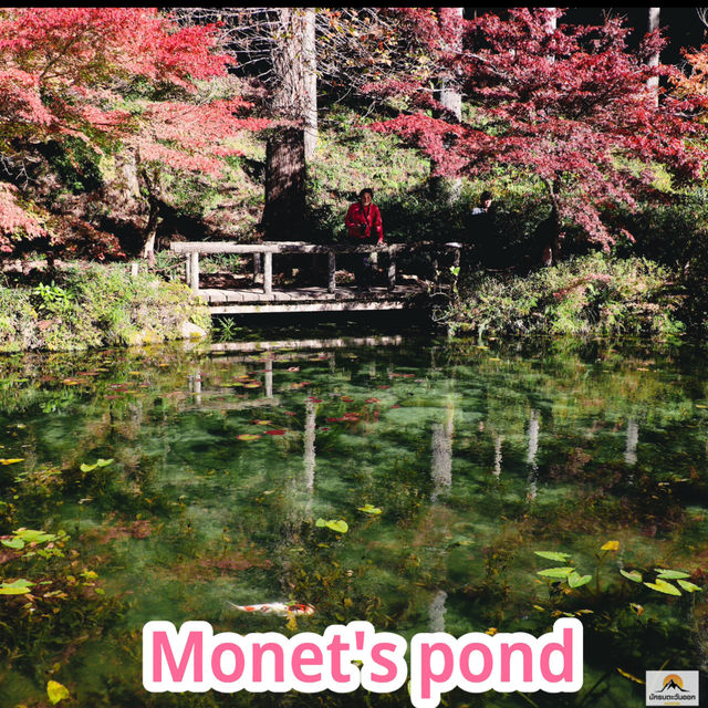  Monet's pond