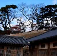 韓國大邱_Haeinsa Temple 해인사 世界文化遺產