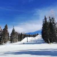 Explore the scenic winter view at Flagstaff Arizona 
