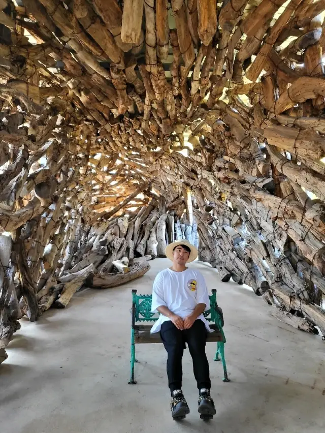 하슬라아트월드 티켓 할인, 운영 시간, 후기 [2025년] | Trip.com