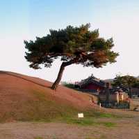 韓國慶州_Walking in Gyeongju 慶洲散策