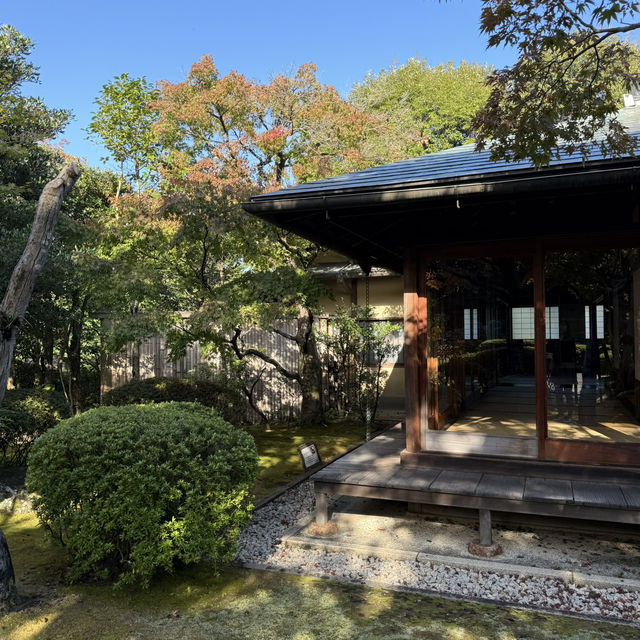 오호리 공원 일본 정원의 고즈넉한 가을 산책 🍁