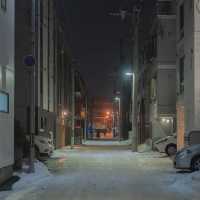 ๐ Sapporo, Hokkaido ๅๆตท้ Winter's Charm, Endless snow..๐ฏ๐ต๐ค