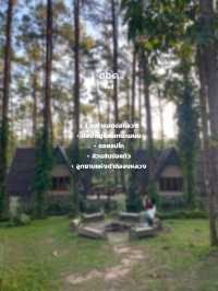 พิกัดเที่ยวเชียงใหม่ | 11 อำเภอ 🏡⛰️🌦️🌿