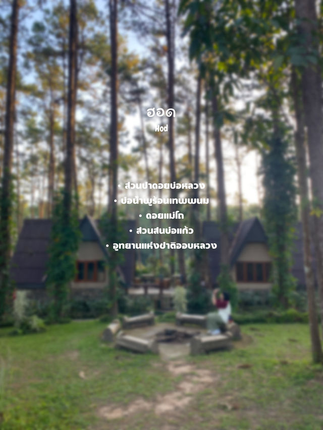 พิกัดเที่ยวเชียงใหม่ | 11 อำเภอ 🏡⛰️🌦️🌿