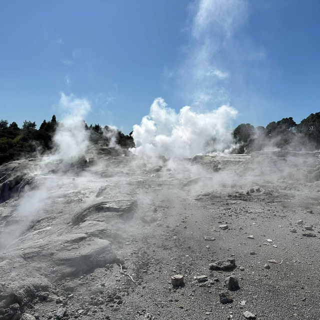 Steaming into Paradise: Unwinding at Mauri Te Puia