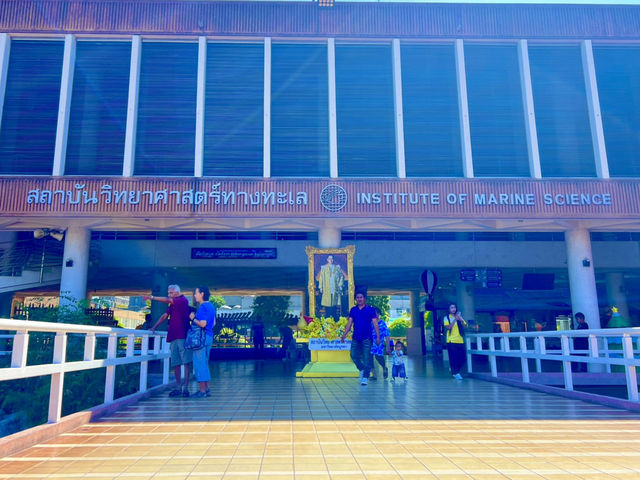 ชมโลกใต้ท้องทะเลที่สถาบันวิทยาศาสตร์ทางทะเล