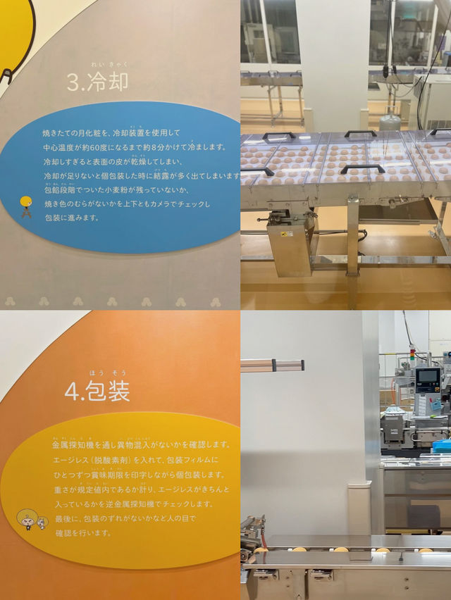 大人も子どもも楽しい！工場見学&出来立ての試食も〜😍🏭✨