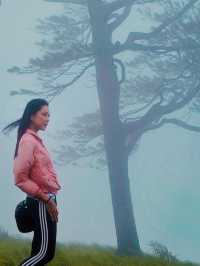 5 ทริคเดินป่า ดอยหลวงตาก แบบสนุกและรอดชัวร์