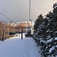 Winter Ski in Shiga Kogen Japan