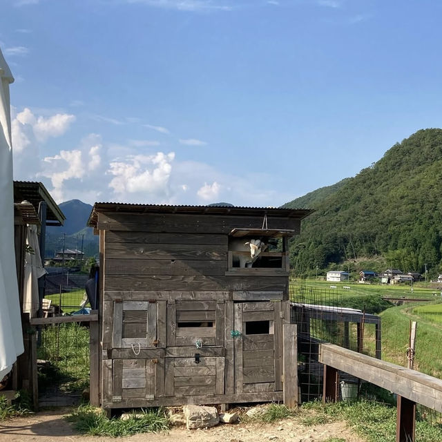 【兵庫】自然に囲まれた素敵カフェ