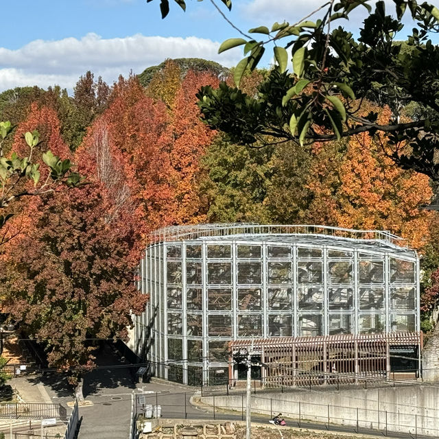 福岡市動植物園 - 在紅葉之美下的奇妙世界