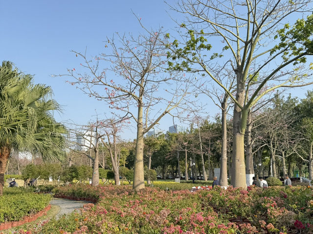 珠海📍橫琴花海長廊