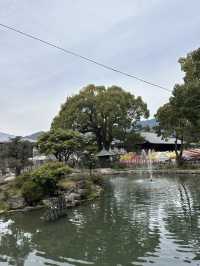 【福岡】リニューアルした太宰府天満宮が素敵だった！
