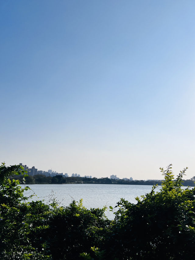［桃園旅遊］桃園埤塘1-16號池💧桃園小秘境