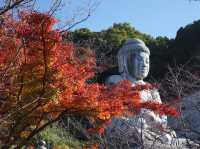 奈良県の壺阪寺