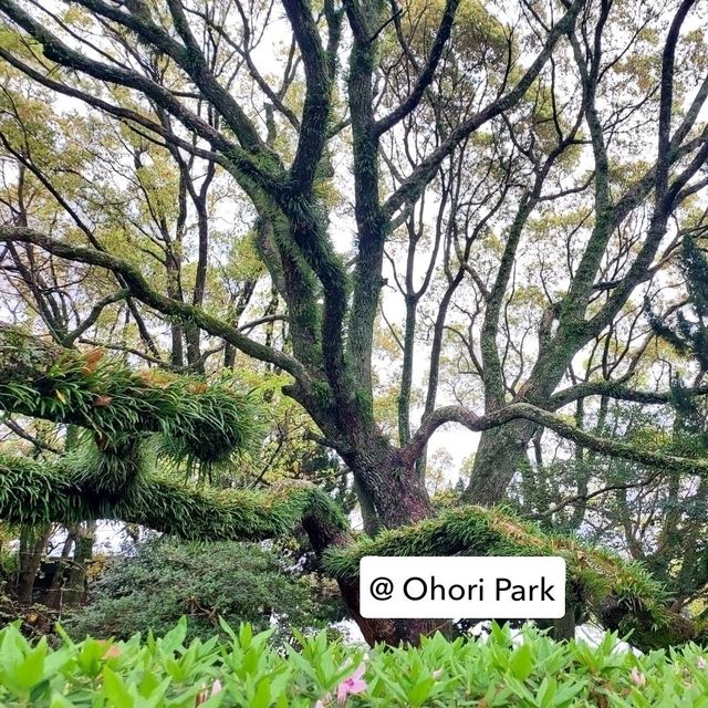 Solo Trip ไปเองไม่ง้อทัวร์ : 4 Days @ Kyushu