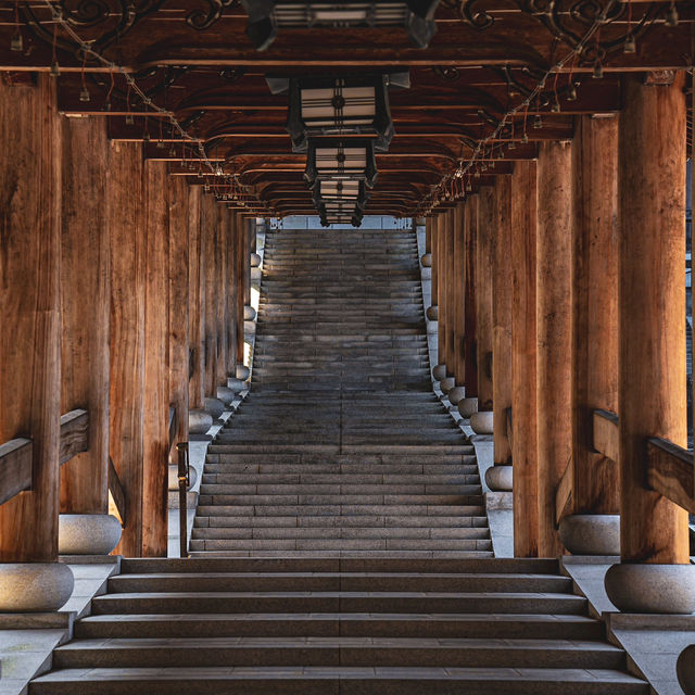 【福井】圧倒的スケール🏯越前大仏