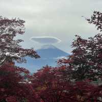 November Moments at the Foot of Fuji