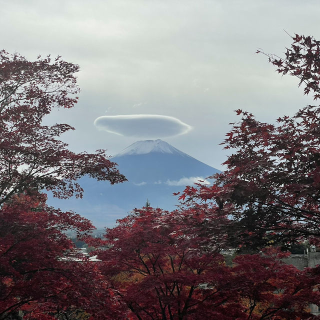 November Moments at the Foot of Fuji
