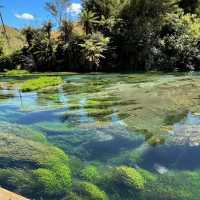 Crystal Clear Magic: Blue Springs, Putaruru