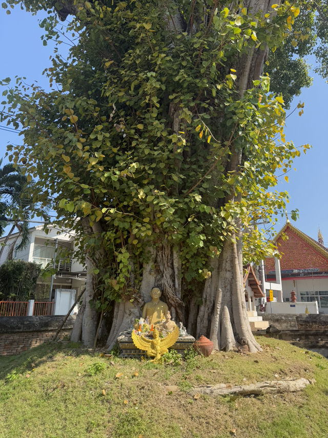 📍วัดปราสาท วัดเก่าแก่คู่เมืองเชียงใหม่