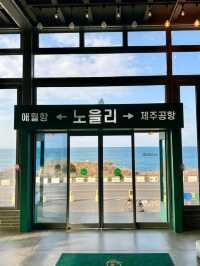 오션뷰와 플랜테리어가 멋진 베이커리카페
