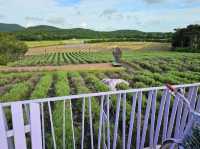 Eco Land Theme Park