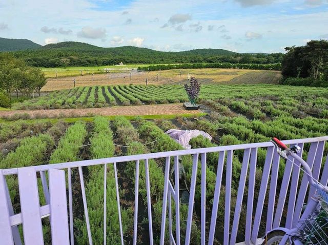Eco Land Theme Park