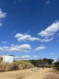 Suncheon Bay Reserve ชุนชอน