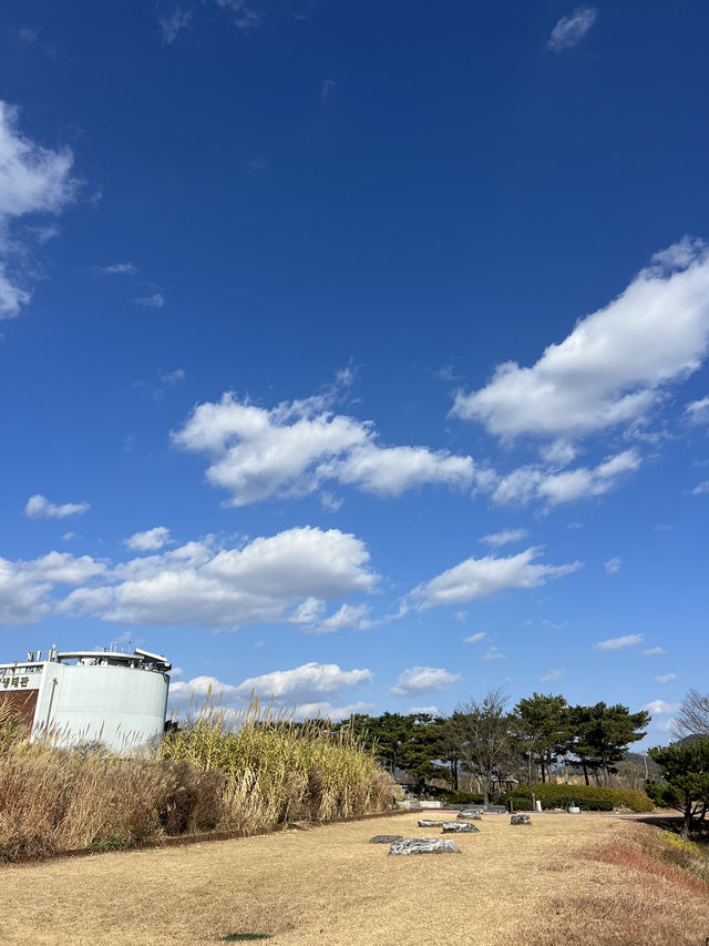 Suncheon Bay Reserve ชุนชอน
