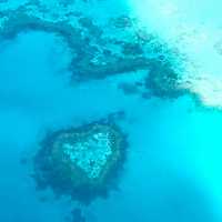 Whitsunday Wonders: A Helicopter Ride to Heaven on Whitehaven Beach