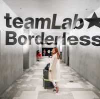 teamLab Borderless: